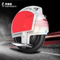 奥捷骑 14寸R系列迷你电动独轮车 自平衡智能代步思维车火星车 R1-白绿