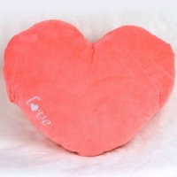 NSURE苏美暖手宝毛绒布套手捂 午睡抱枕靠垫 进口面料LSB-R2-SW