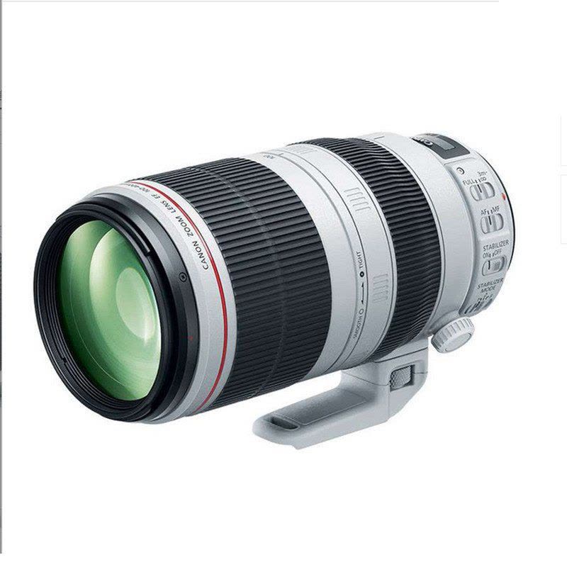 佳能(Canon) 镜头 EF 100-400mm f/4.5-5.6L IS II USM图片