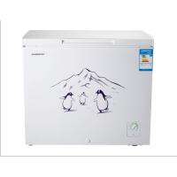 容声冷柜BD/BC-250MS