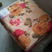 彩阳调温电热毯6277