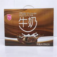 天友康美包巧克力味250ml×24(件)
