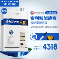 AO史密斯 12升燃气热水器 JSQ24-N1L 静音基础版