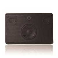 BLUE AURA WS10i 音箱