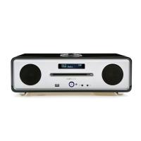 RUARKAUDIO R4IE(BK)