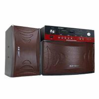 先科(SAST) SA-895 10寸专业卡包家庭KTV音响 舞台卡拉OK音箱