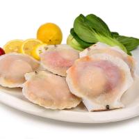 半壳夏夷贝(8-9cm) 500g