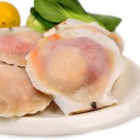 半壳夏夷贝(9-10cm)  500g