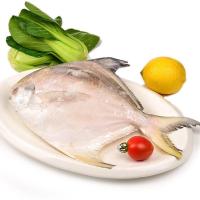 舟山生态平鱼一条装 500g