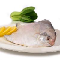 生态平鱼一条装 230g