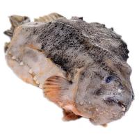 海参斑  1400g