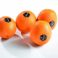 [苏宁超市]透心甜金玉脐橙礼盒