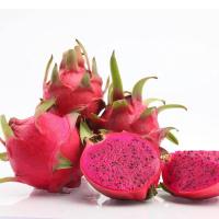 草鲜禾堂 越南进口新鲜水果红心火龙果 5斤 红肉口感滑嫩 营养丰富 美白减肥 孕妇 送礼佳品