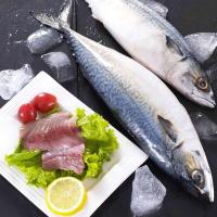 精选超值肥美深海马鲛鱼(原味一级)(450g)