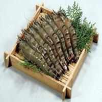 越南草虾 15头 750g