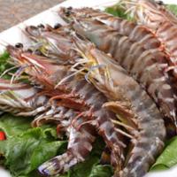 越南草虾  10头750g