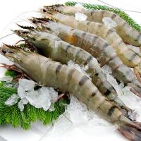 越南草虾 20头 750g