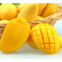 海南大台芒果1kg/组