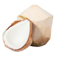 海南椰青(约1kg/粒)1粒/组
