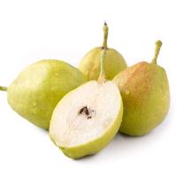 新疆香梨（一级果）/5-5.5kg/箱