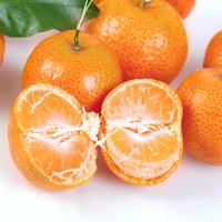 广东砂糖桔/ 1kg