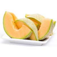 新疆西州蜜/（1.4--1.8kg）/个