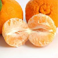 [苏宁超市]不知火丑柑 1kg