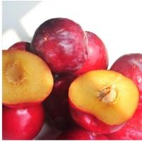 [苏宁超市]进口红李/1 kg