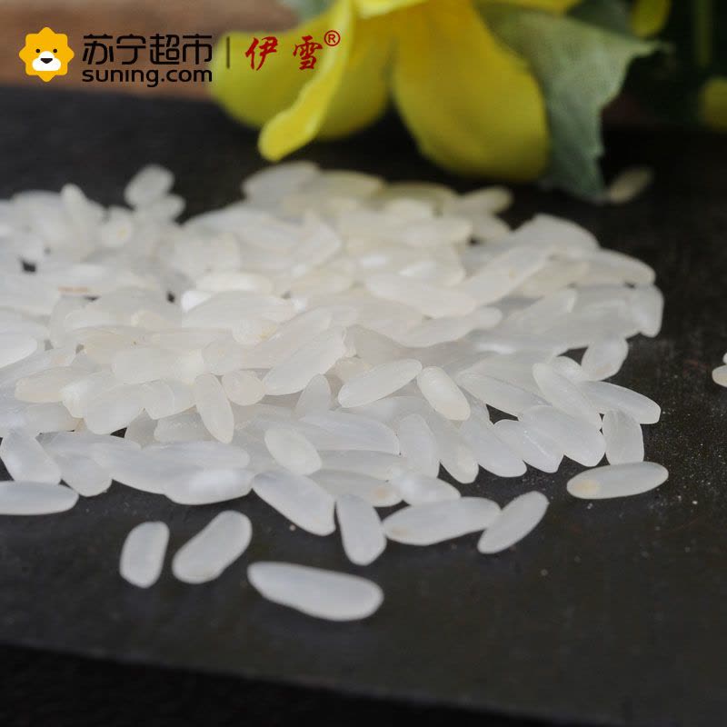 伊雪 伊雪贡米 5kg/袋 大米 粳米图片