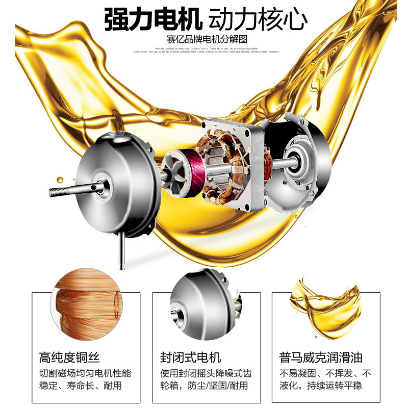 赛亿电风扇五叶非遥控落地扇 家用静音定时摇头升降台立式电扇FS40-3