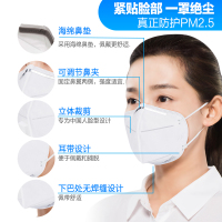 3M 防护口罩9501 防雾霾PM2.5 防尘口罩 KN95耳带式 2包装 5只/包 共10只