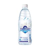 冰川时代天然矿泉水555ML