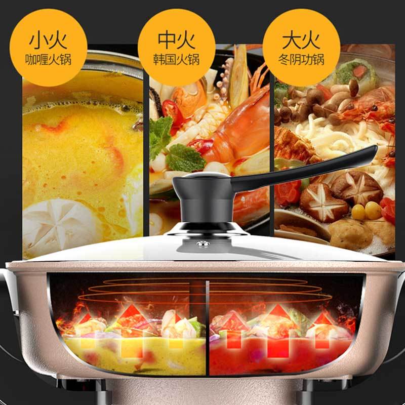 利仁(Liven)电火锅HG-301AY 5.0L大容量 圆形 鸳鸯锅 多用途不粘锅电煮锅电炖锅 温度调节功能