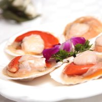 [京海兴] 大连獐子岛冷冻扇贝 新鲜急冻半壳扇贝 大个扇贝(4-6只/500g)1000g/袋