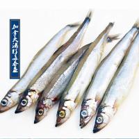 京海兴 加拿大进口冷冻多春鱼 满籽多春鱼 条条新鲜满籽1kg/袋(35-40条每斤)