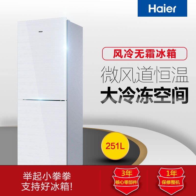 海尔(Haier)BCD-251WDGW 251升两门冰箱 电脑智能控温无霜 家用图片