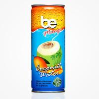 泰国原装进口果汁饮料 必怡芒果菠萝椰子水 240ml