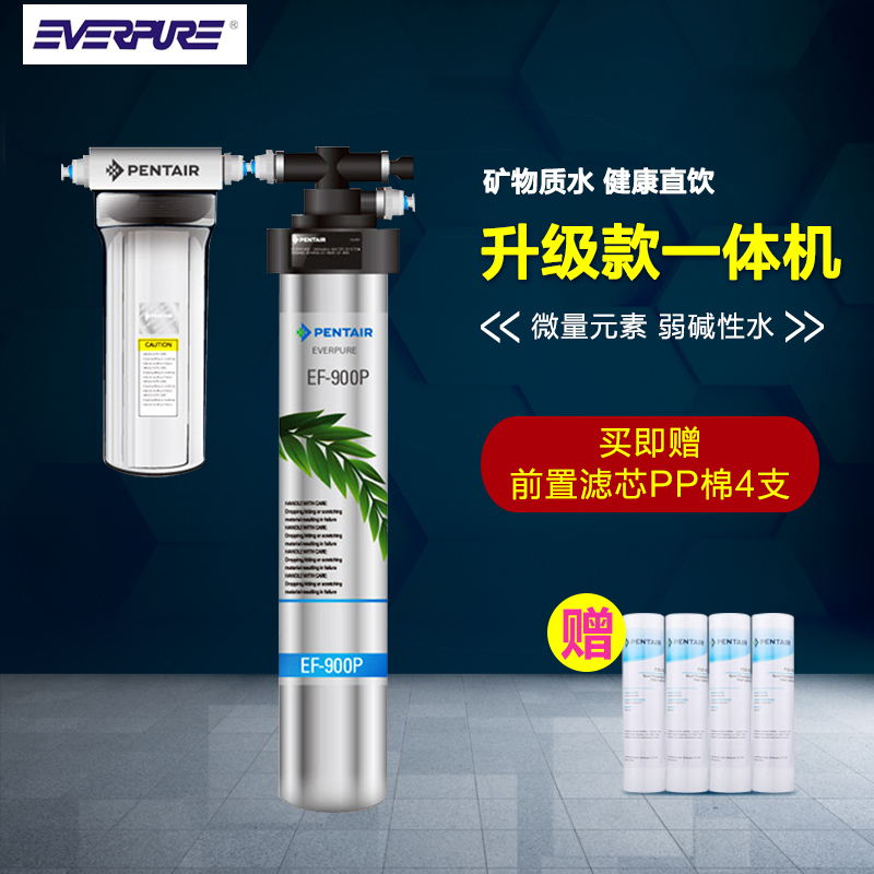 爱惠浦/Everpure 厨下式家用直饮净水器 EF-900P升级版 矿物质水直饮净水机