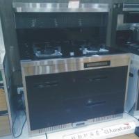 大臣集成环保灶JZT-LDB2