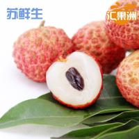 [苏宁超市]高州白糖罂荔枝现摘6斤/箱