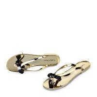 女 香槟 Delicate纳米镜面电镀工艺拖鞋L15AT130-5