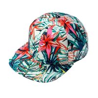 雅狮顿花布平舌帽 15HX06032