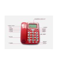 Botel/宝泰尔 T202