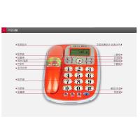 Botel/宝泰尔 T137