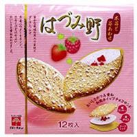 阡朋什锦草莓味饼干62.4g