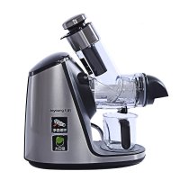 九阳(Joyoung)原汁机JYZ-E19