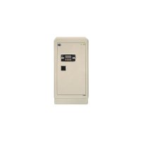 英睿电子FDG-A1/D-100YS