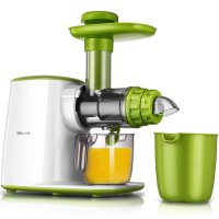 小熊(bear) 榨汁机 YZJ-A02D1 慢速榨汁机 果汁机