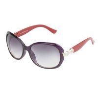 蝴蝶女士PC款太阳镜3151