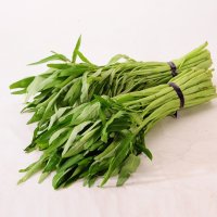 有机空心菜